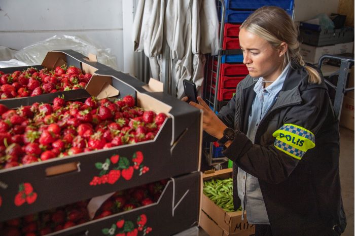 Polisen under en omfattande myndighetsgemensam insats